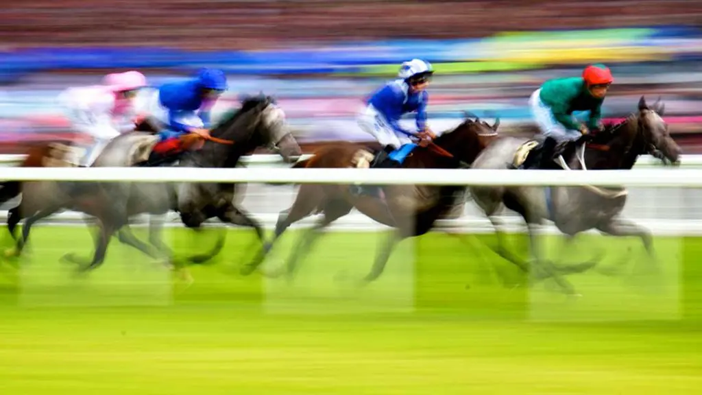 Horse racing event with jockeys in colorful silks competing on the track, a popular UK betting sport.